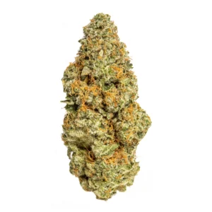 PREMIUM HOUSE THC-A FLOWER - MAI TAI